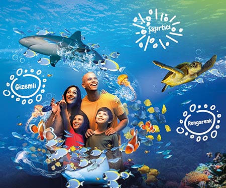 SEA LIFE İstanbul’da %50 indirim!