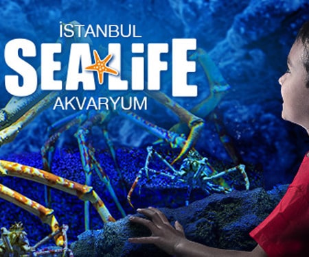 Ocak ayında Sea Life Akvaryum’da %25 indirim